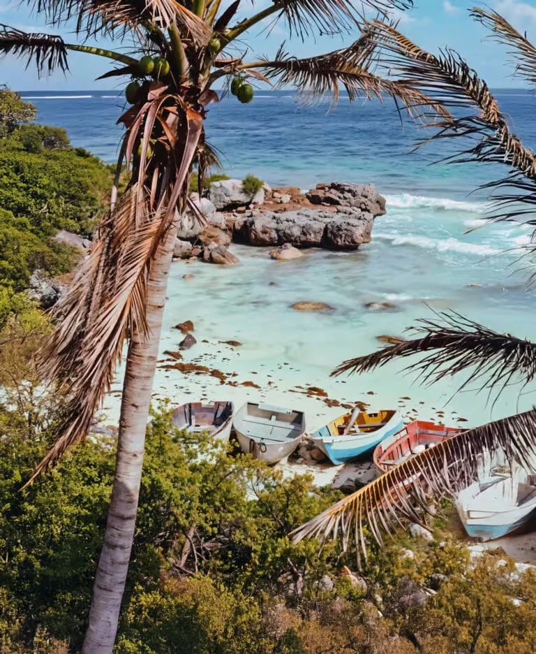 Untouched nature